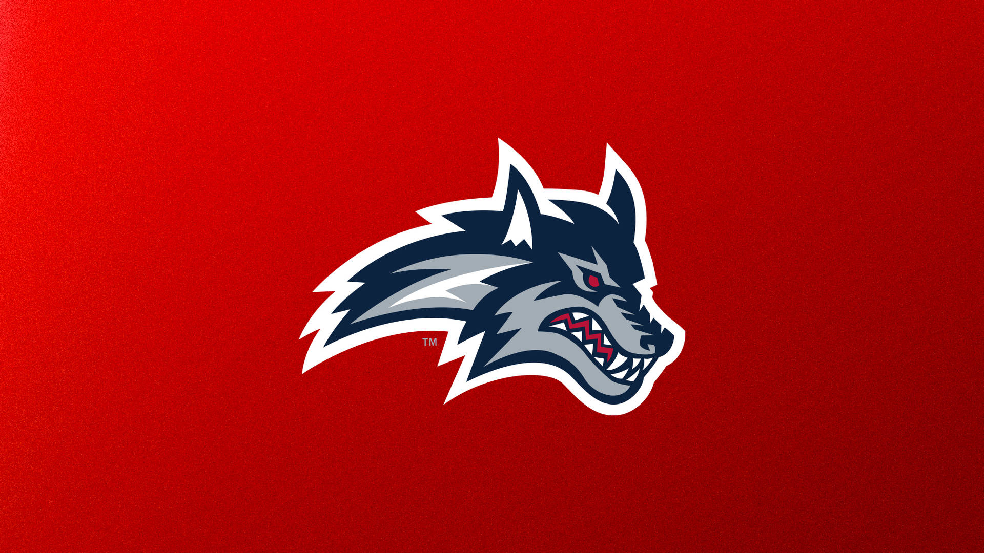 Stony Brook University
